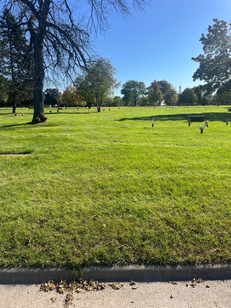 An open lawn of flat grave markers with flower vases, a bench and tall trees, seen from the curb.