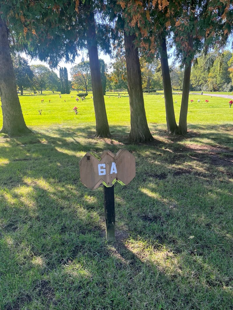 A weathered wooden sign marked 6A stands in the lawn among cedar trees.