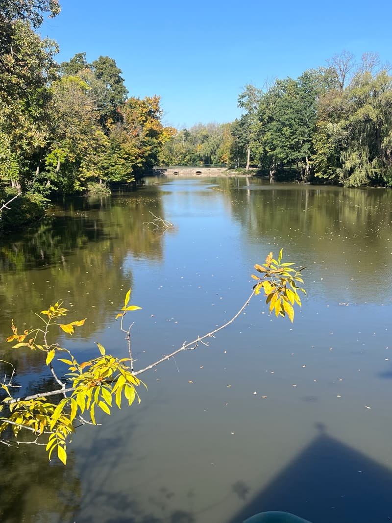 A quiet pond framed by autumn trees, with a low stone bridge in the distance.